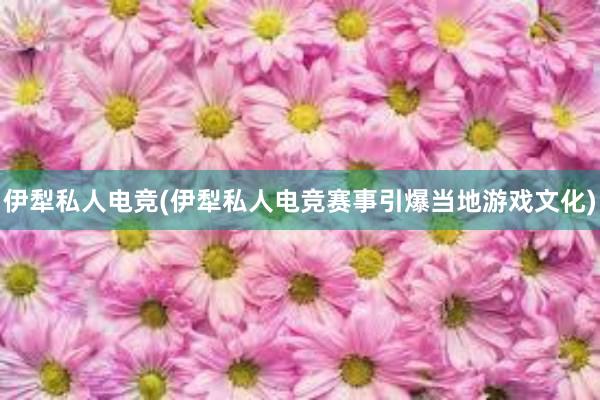 伊犁私人电竞(伊犁私人电竞赛事引爆当地游戏文化)