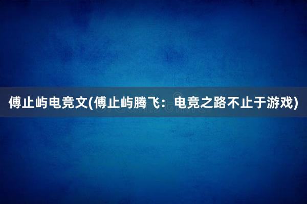 傅止屿电竞文(傅止屿腾飞：电竞之路不止于游戏)