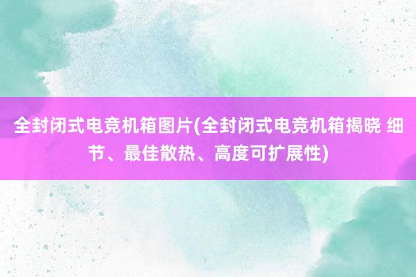 全封闭式电竞机箱图片(全封闭式电竞机箱揭晓 细节、最佳散热、高度可扩展性)