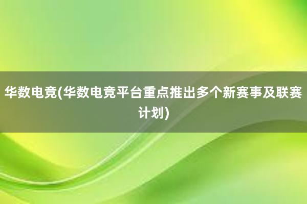 华数电竞(华数电竞平台重点推出多个新赛事及联赛计划)