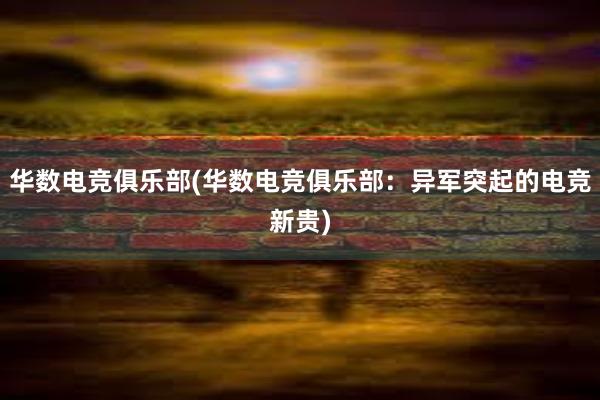 华数电竞俱乐部(华数电竞俱乐部：异军突起的电竞新贵)