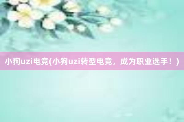 小狗uzi电竞(小狗uzi转型电竞，成为职业选手！)