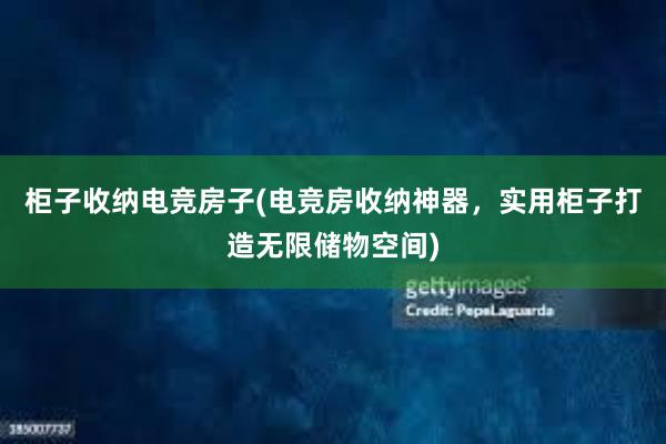 柜子收纳电竞房子(电竞房收纳神器，实用柜子打造无限储物空间)