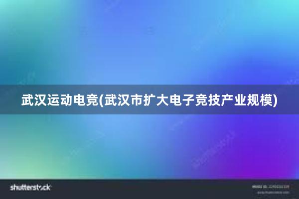 武汉运动电竞(武汉市扩大电子竞技产业规模)