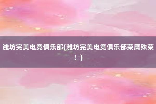 潍坊完美电竞俱乐部(潍坊完美电竞俱乐部荣膺殊荣！)