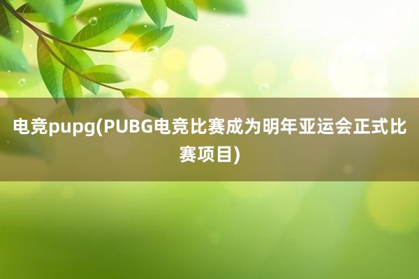 电竞pupg(PUBG电竞比赛成为明年亚运会正式比赛项目)