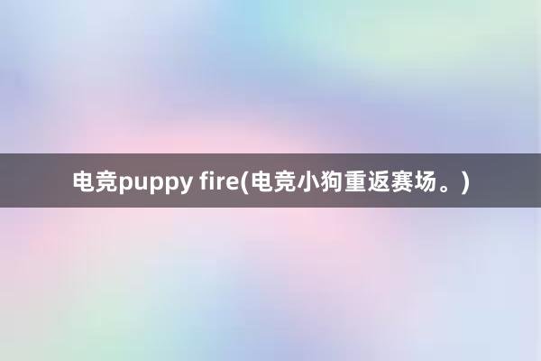 电竞puppy fire(电竞小狗重返赛场。)