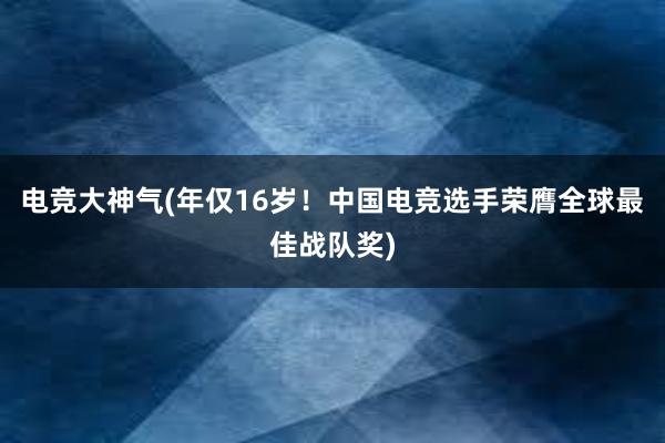 电竞大神气(年仅16岁！中国电竞选手荣膺全球最佳战队奖)