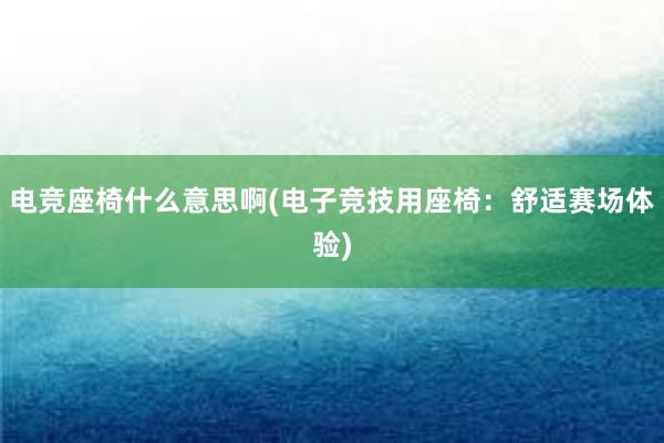 电竞座椅什么意思啊(电子竞技用座椅：舒适赛场体验)