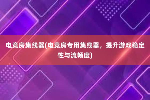 电竞房集线器(电竞房专用集线器，提升游戏稳定性与流畅度)