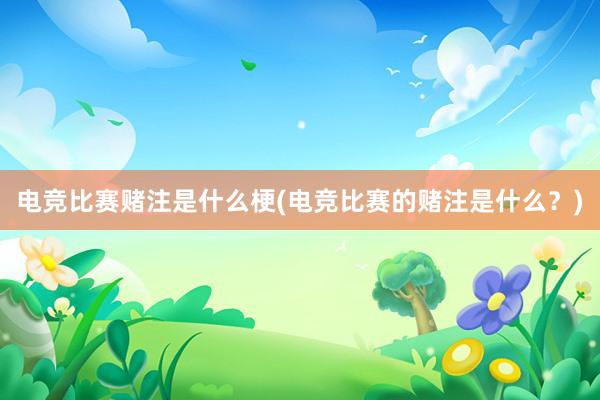 电竞比赛赌注是什么梗(电竞比赛的赌注是什么？)