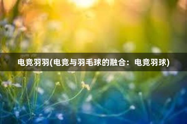 电竞羽羽(电竞与羽毛球的融合：电竞羽球)