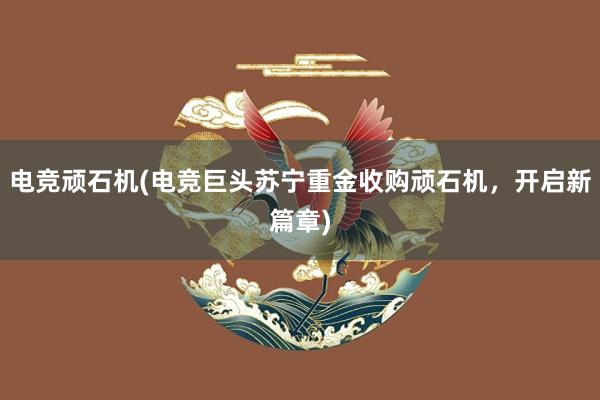 电竞顽石机(电竞巨头苏宁重金收购顽石机，开启新篇章)