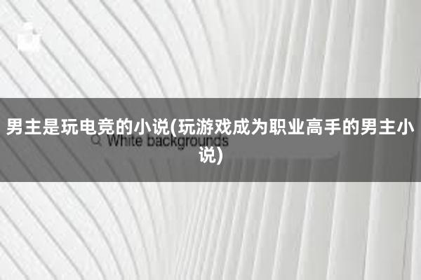 男主是玩电竞的小说(玩游戏成为职业高手的男主小说)