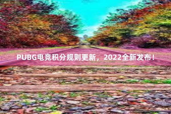 PUBG电竞积分规则更新，2022全新发布！