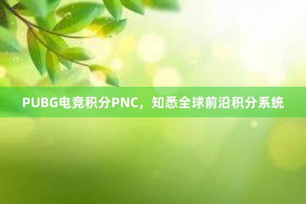 PUBG电竞积分PNC，知悉全球前沿积分系统