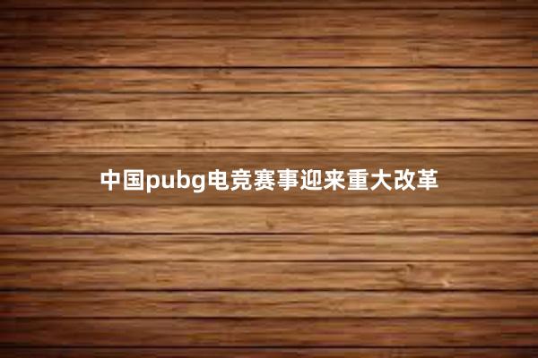 中国pubg电竞赛事迎来重大改革