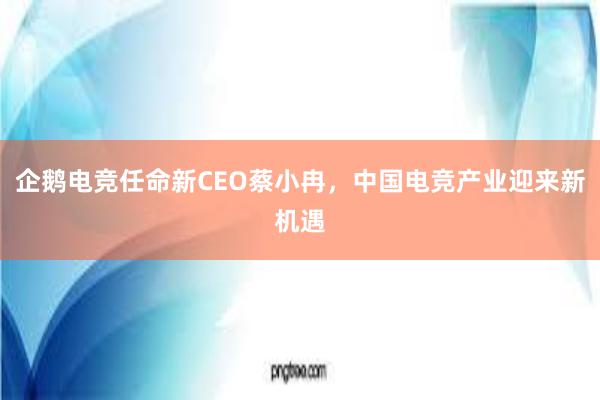 企鹅电竞任命新CEO蔡小冉，中国电竞产业迎来新机遇