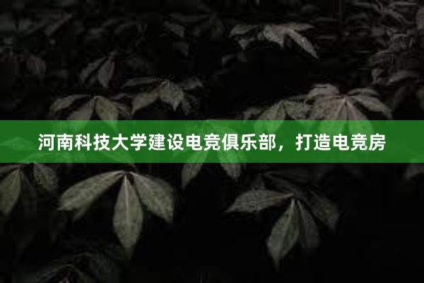 河南科技大学建设电竞俱乐部，打造电竞房