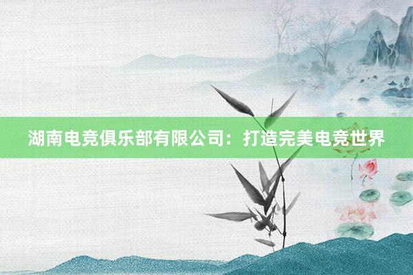 湖南电竞俱乐部有限公司：打造完美电竞世界