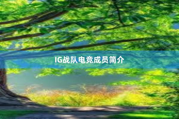 IG战队电竞成员简介