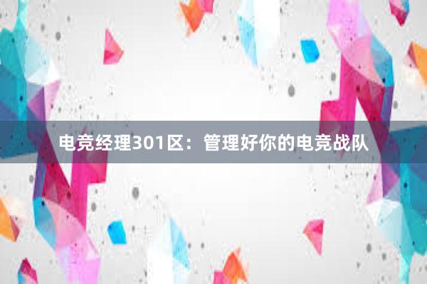 电竞经理301区：管理好你的电竞战队