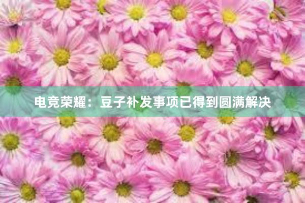 电竞荣耀：豆子补发事项已得到圆满解决