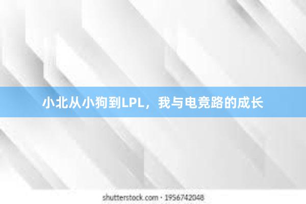 小北从小狗到LPL，我与电竞路的成长