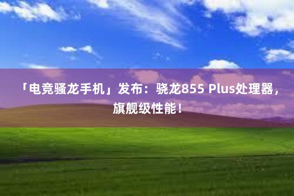 「电竞骚龙手机」发布：骁龙855 Plus处理器，旗舰级性能！