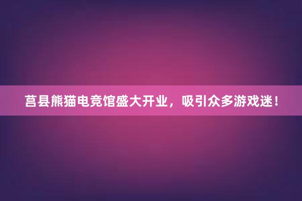 莒县熊猫电竞馆盛大开业，吸引众多游戏迷！